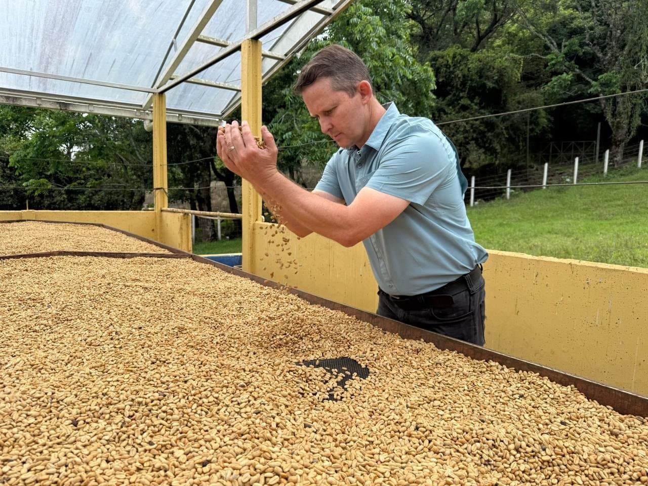 Emmanuel revisando el café en las camas de secado