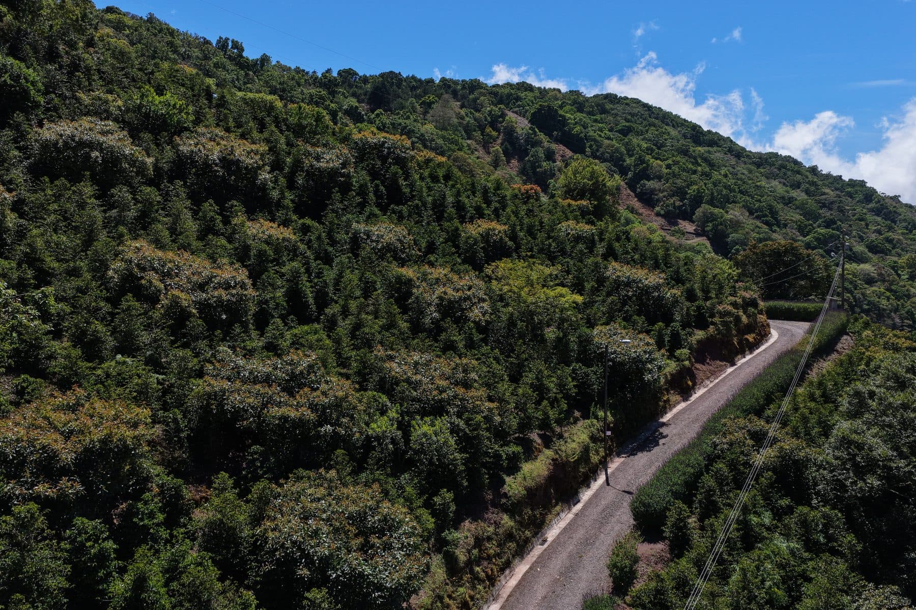 Vista aérea de la finca Las Margaritas 26 en el Cedral de Dota